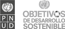 LOGO-PNUD-Co-branding-SDGs